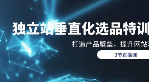 [支持免费下载]【2024垂直化选品秘籍】打造产品壁垒，提升网站利润