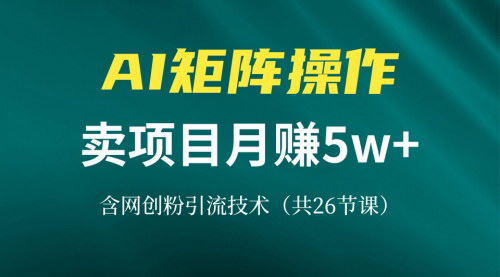 [支持免费下载]价值8899网创IP打造课：借助AI卖项目月赚5万+，含引流技术