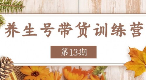 [支持免费下载]《养生号带货训练营第13期：稳定收益的玩法，让你的带货收益爆炸》
