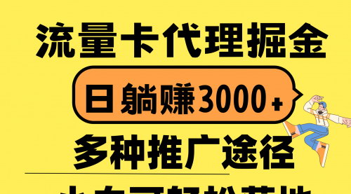 [支持免费下载]【流量卡代理躺赚攻略】日入3000+，首码平台带你掘金