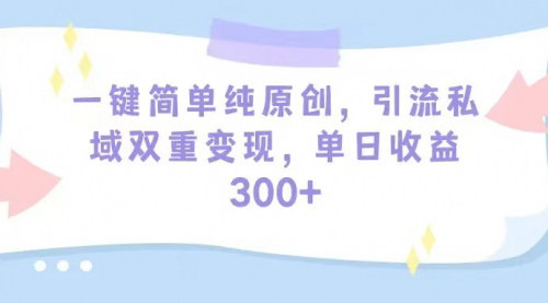 [支持免费下载]2024年抖音短视频项目拆解：日引50+创业粉引流攻略