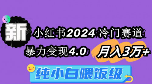 [支持免费下载]小红书2024冷门赛道：月入3万+的暴力变现项目，纯小白也能轻松上手