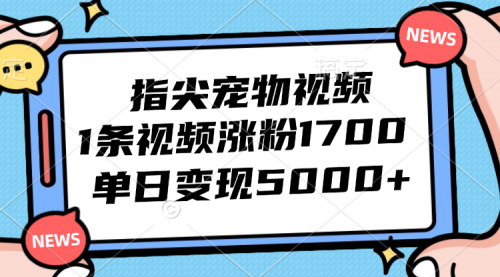 [支持免费下载]AI指尖宠物视频：1条视频涨粉1700，单日变现5000+的治愈系项目