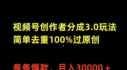 [支持免费下载]【2025年微信视频号创作者分成攻略】条条爆款，月入30000+，新手也能轻松实现