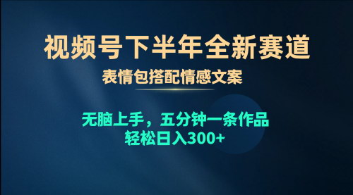 [支持免费下载]《2024年视频号新赛道：表情包+情感文案，轻松上手，快速涨粉》