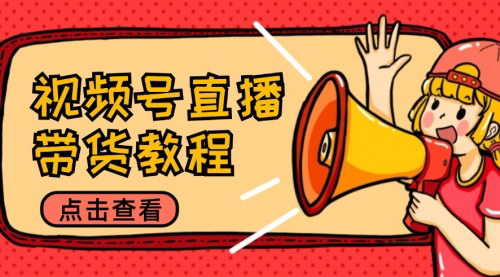 [支持免费下载]【2024年视频号直播带货教程：选品思路与话术拆解】
