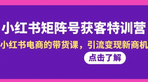[支持免费下载]【小红书矩阵号批量涨粉变现攻略】：电商带货趋势与案例解析
