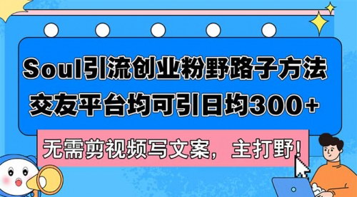 [支持免费下载]Soul引流创业粉野路子方法：日均300+，交友平台引流实操指南