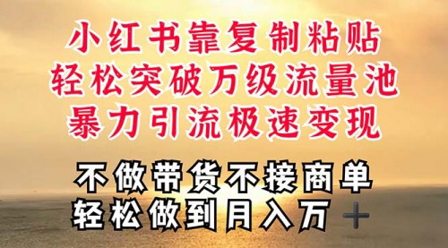 [支持免费下载]【小红书暴力引流攻略】复制粘贴，一周突破万级流量池，轻松月入过万
