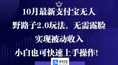 [支持免费下载]【2024年支付宝无人直播野路子2.0玩法：无需露脸，抓住风口】