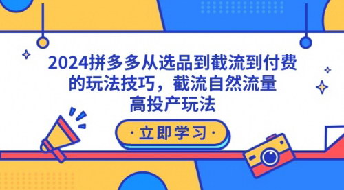 [支持免费下载]【2024拼多多流量获取与营销攻略：从选品到截流到付费】