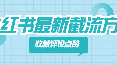 [支持免费下载]【小红书收藏评论点赞】小红书运营技巧分享