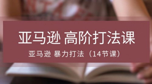 [支持免费下载]【亚马逊高阶打法课】14节课掌握暴力打法，提升销售业绩