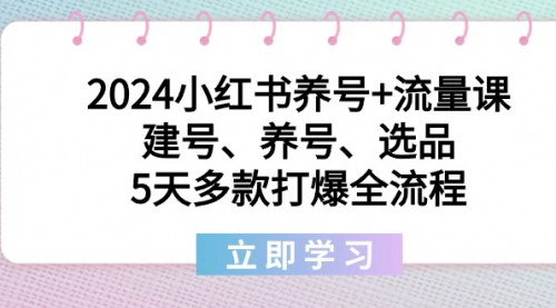 [支持免费下载]【2024小红书运营全攻略】从建号到爆款，5天打造流量爆款的完整流程