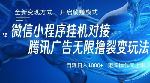 [支持免费下载]微信小程序广告变现：简单无脑，打造日不落直播间，2024年新风口实战攻略
