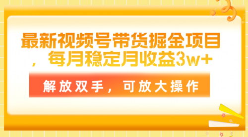 [支持免费下载]《视频号带货掘金项目：每月稳定收益3w+的详细攻略》
