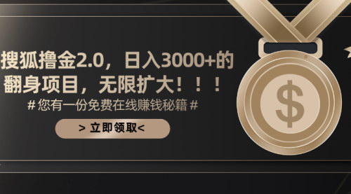 [支持免费下载]【搜狐撸金2.0】日入3000+，无限扩大的翻身项目