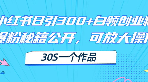[支持免费下载]【小红书创业粉引流攻略】日引300+高质白领创业粉，揭秘多重变现方式