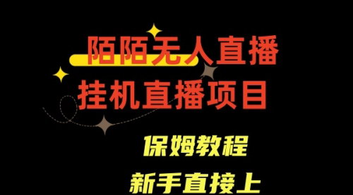 [支持免费下载]【陌陌无人直播攻略】深夜流量庞大，新手轻松上手，收割睡眠难题用户！
