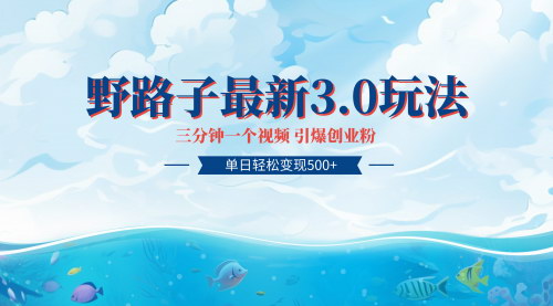 [支持免费下载]【全网独家首发快手野路子3.0玩法】轻松日引300+创业粉，精准引流