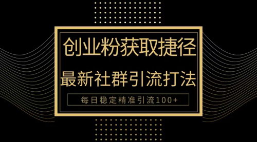 [支持免费下载]【2024年创业社群被动引流攻略】每日100+精准引流，实现高效变现