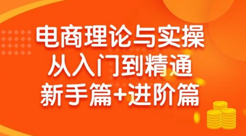 [支持免费下载]【电商理论与实操全攻略】：从入门到精通，抖店+淘系+多多全面解析
