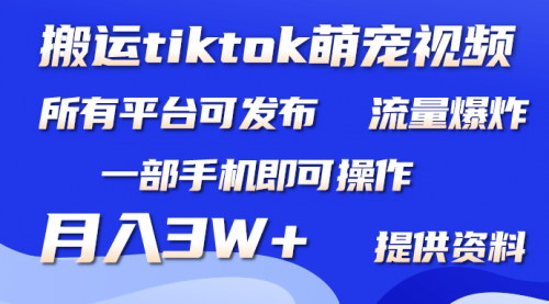 [支持免费下载]【Tiktok萌宠视频搬运项目】：一部手机，月入3W+，轻松上手