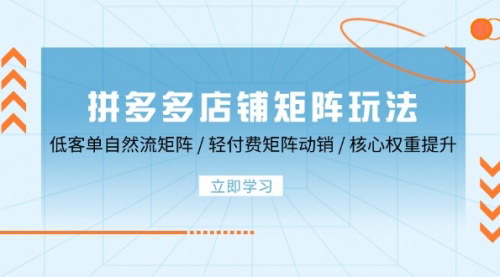 [支持免费下载]【2024年拼多多店铺矩阵玩法：低客单自然流矩阵与轻付费矩阵动销策略】