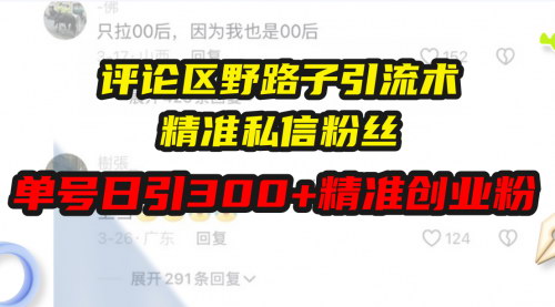 [支持免费下载]《抖音评论区截流术：单号日引300+精准创业粉的实操指南》
