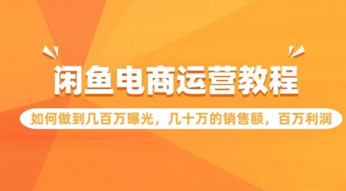 [支持免费下载]【闲鱼电商运营全攻略】：从几百万曝光到百万利润的实战教程