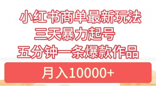 [支持免费下载]【2024年小红书商单最新玩法：3天起号，5分钟一条爆款作品】