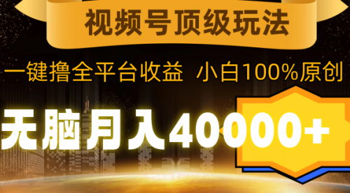 [支持免费下载]【视频号蓝海攻略】无脑月入40000+，一键发布全平台，小白原创收益倍增