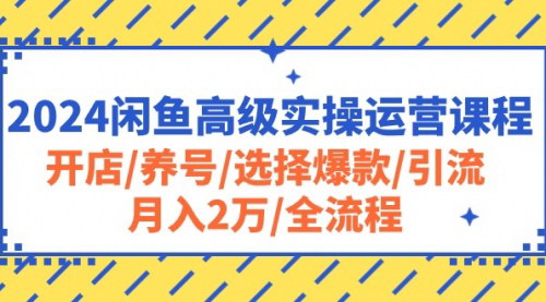 [支持免费下载]【2024闲鱼高级运营攻略】开店到月入2万，全流程实操课程揭秘