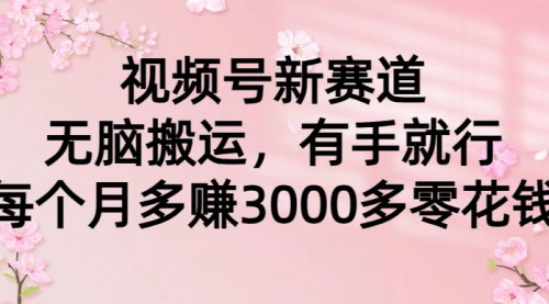 [支持免费下载]【视频号广告分成攻略】无脑搬运新玩法，轻松月入3000+的兼职秘籍