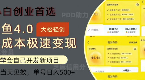 [支持免费下载]闲鱼0成本极速变现项目：单号日入500+，多种变现方式，轻松上手