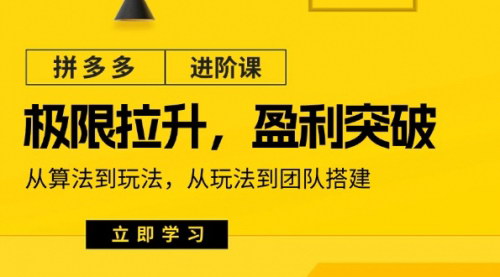 [支持免费下载]拼多多·进阶课：极限拉升/盈利突破：从算法到玩法，从玩法到团队搭建全平台价格战内卷