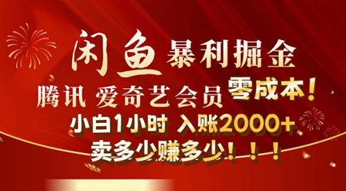 [支持免费下载]闲鱼全新暴力掘金玩法：官方正品影视会员无成本渠道