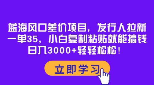 [支持免费下载]《2024年蓝海风口差价项目：发行人拉新，小白轻松日入3000+》