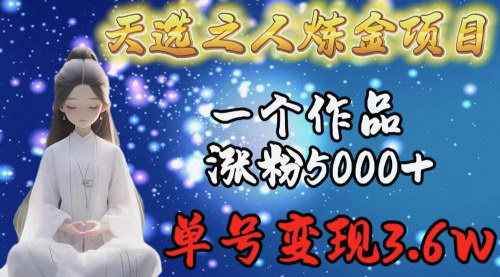 [支持免费下载]【天选之人炼金项目】单作品涨粉5000+，单号变现3.6w的实操指南