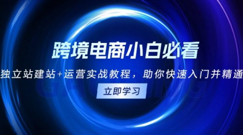 [支持免费下载]跨境电商小白必看！独立站建站+运营实战教程：从域名购买到广告投放的全面指南