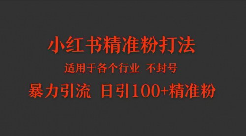 [支持免费下载]【小红书精准粉引流】日引100+，简单粗暴的引流打法，适用于各个行业