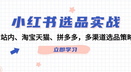 [支持免费下载]小红书选品实战：多渠道策略，从小白到专家的全面指南