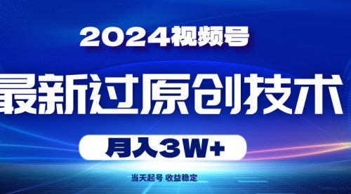 [支持免费下载]【2024视频号原创技术揭秘】当天起号，月入3W+，告别搬运困扰
