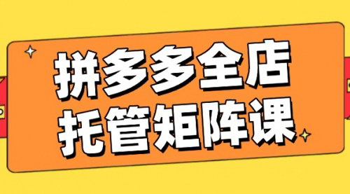 [支持免费下载]【拼多多全店托管矩阵课：盈利动销与高效计划设置】