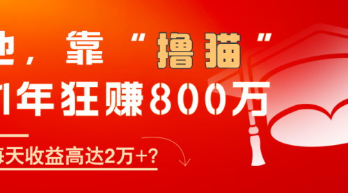 [支持免费下载]【撸猫创业传奇：一年狂赚800万，揭秘养猫生意的暴利模式】