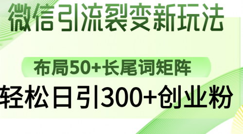 [支持免费下载]《微信引流裂变新策略：长尾词矩阵布局，日引300+创业粉》