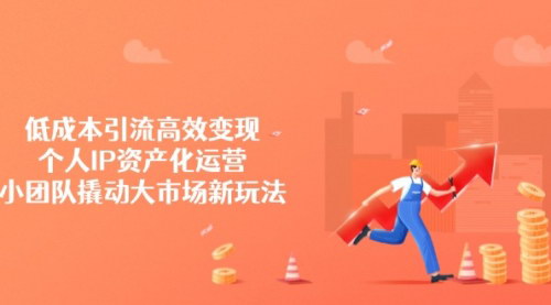 [支持免费下载]低成本引流高效变现：个人IP资产化运营的新玩法