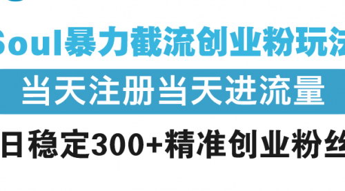 [支持免费下载]【Soul创业粉截流秘籍】日稳定300+精准粉丝，轻松实现创业变现