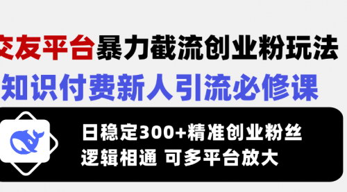 [支持免费下载]《社交平台创业粉引流攻略：从SOUL到知识付费的转化之路》