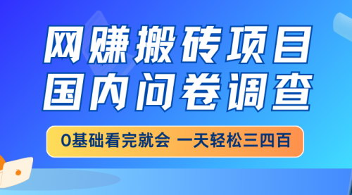 [支持免费下载]网赚搬砖项目：国内问卷调查，0基础轻松日赚三四百